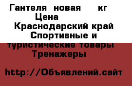 Гантеля  новая 11,5кг  › Цена ­ 2 000 - Краснодарский край Спортивные и туристические товары » Тренажеры   